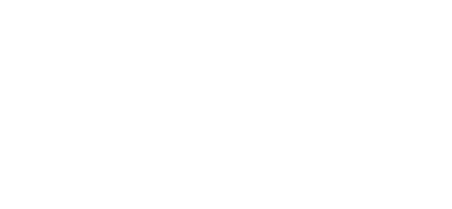 VIPOX — in cooperation with AON